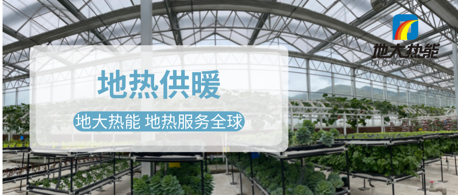 發(fā)揮地?zé)豳Y源優(yōu)勢，地?zé)徂r(nóng)業(yè)實現(xiàn)花卉產(chǎn)業(yè)特色發(fā)展 | 地大熱能 地?zé)岱?wù)全球